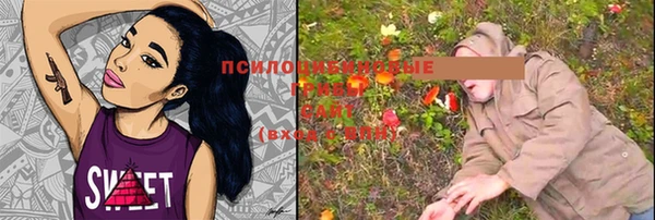 а пвп мука Саяногорск
