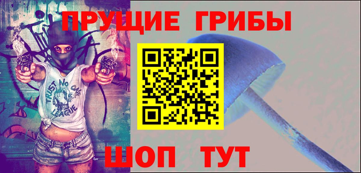 Псилоцибиновые грибы мицелий Благодарный