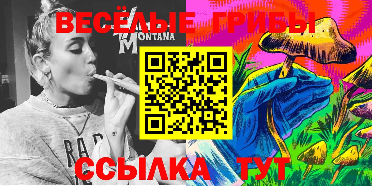 Псилоцибиновые грибы Cubensis  Вход с VPN  Благодарный  Псилоцибиновые грибы мицелий 